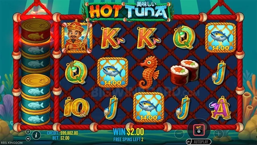 Live Casino Etiquette Guide